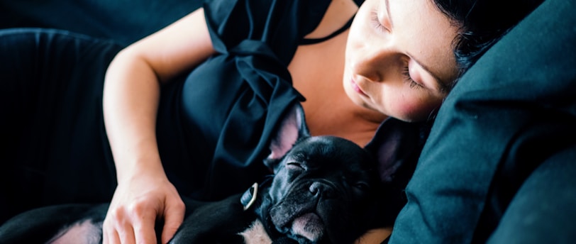 Training Strategies for Senior Dogs with Cognitive Decline