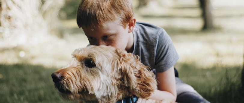 Behavioral Rehabilitation for Traumatized Pets: A Guide to Training Methods and Trust-Building