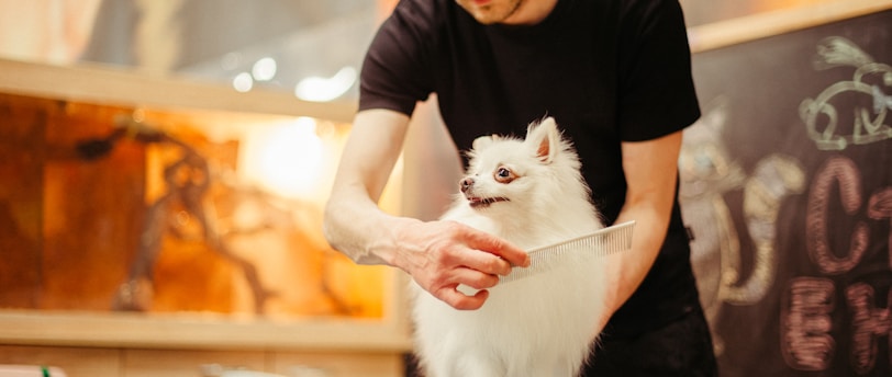 Bathing 101: A Comprehensive Guide to Keeping Your Pets Clean and Happy