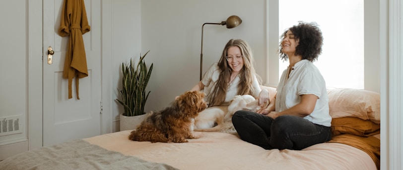 The Role of Diet in Pet Grooming: Nourishing Your Pet&#39;s Coat and Skin Health