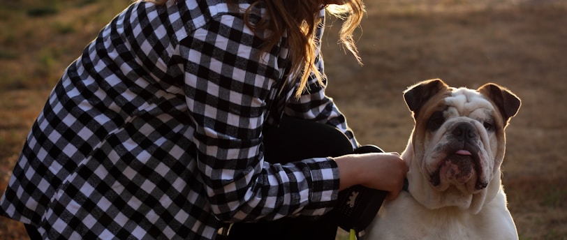 Training for a Lifetime: The Key to a Well-Behaved Pet